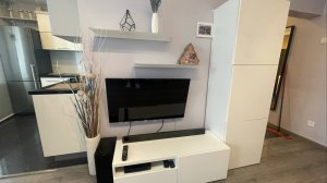 Осмотр квартиры, центр Москвы, Зоологический переулок.