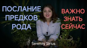 Послание Предков Рода🌳Важно знать сейчас⚡таро расклад