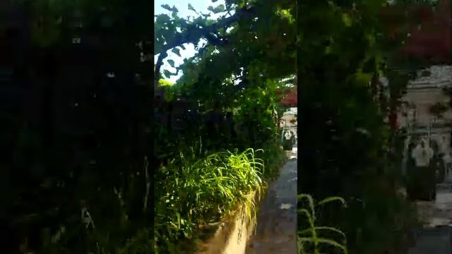 17-07-2025