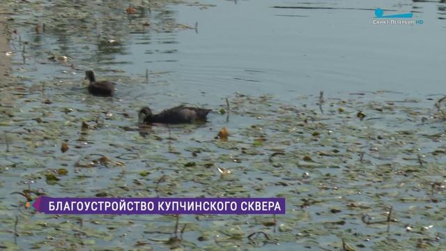 Благоустройство Купчинского сквера