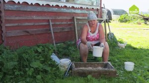 Летняя подкормка для домашних животных. Мешанка для цыплят и поросят. Витаминная смесь для животных