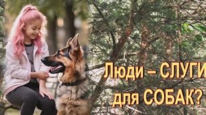Люди - СЛУГИ у СОБАК?
