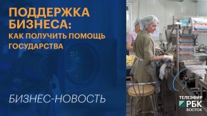 Поддержка бизнеса: как получить помощь государства