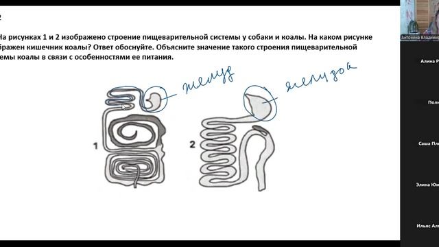 записи практик (7)