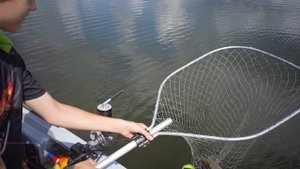 Рыбалка с гидом на Оке в районе Каширы