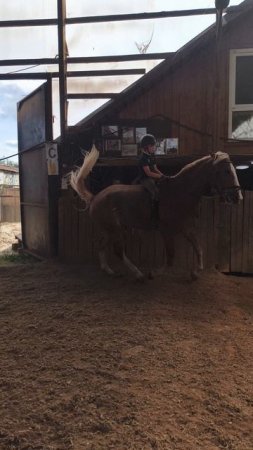 Соня впервые отважно поднимает Каспера в галоп без седла.
