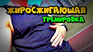 ЖИРОСЖИГАЮЩАЯ ТРЕНИРОВКА | ЭФФЕКТИВНЫЙ СПОСОБ СЖЕЧЬ ПОДКОЖНЫЙ ЖИР | ПОХУДЕТЬ К ПЛЯЖНОМУ СЕЗОНУ