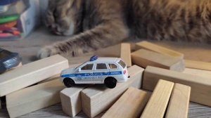 побег из Саратова