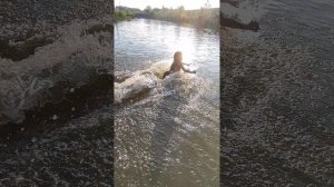 сезон купания с хомяками 3