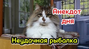 Анекдот дня. Про неудачную рыбалку.