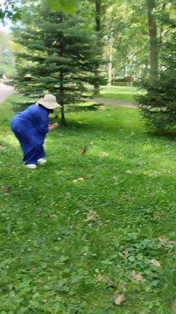 Я и белка