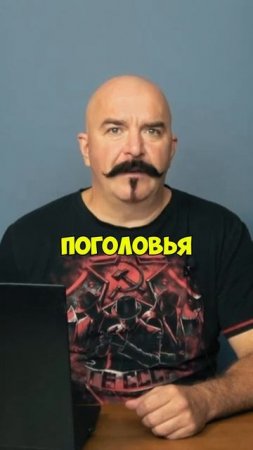 Клим Жуков про легкую кавалерию гусаров как таковых