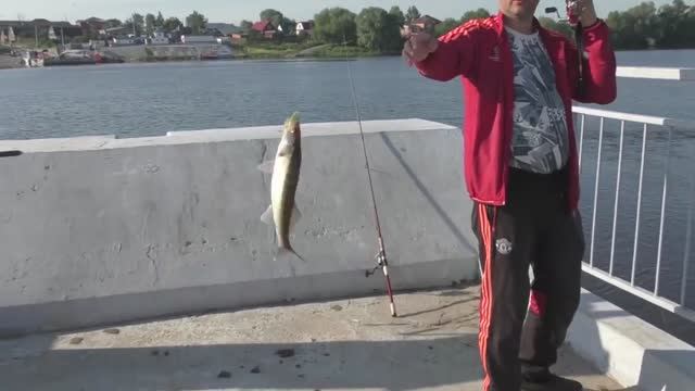 Времени было мало,но норму по судаку выполнили!