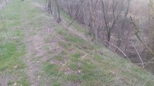 Пёс 5 сезон video