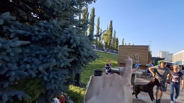 Авиашоу 