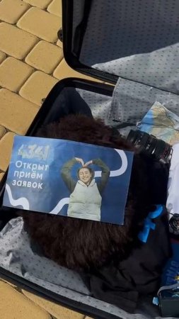 КОМАНДА, ВПЕРЁД!