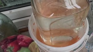 При закваски квашеной капусты положил мало соли. Обзор рецептов