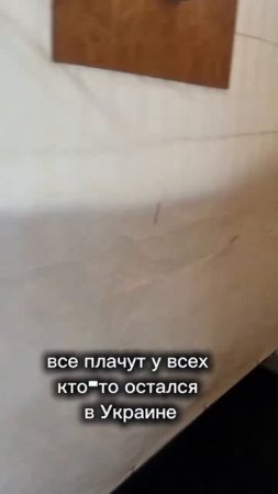 Украинка поделилась своим опытом жизни в Германии