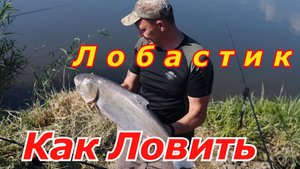Правильный дальний заброс убийцы толстолобика Груз не долетает на дистанцию .убийца толстолоба