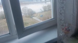 юморок с прогулкой жизнь удалась