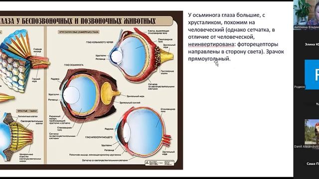 Записи практик из этого блока (10)