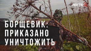 В России ужесточают меры по борьбе с борщевиком