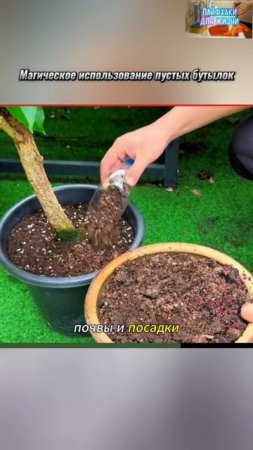 Лайфхаки
