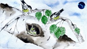 ЭТАЖИ ЛЕСА / Где найти лесной небоскреб? / М. Пришвин