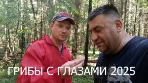 Летняя грибалка в Подмосковье. Сергиев-Посадский район 2025