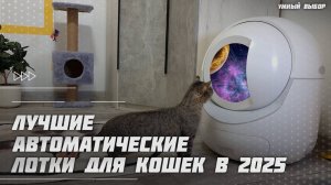 Топ-5 Лучших автоматических лотков для кошек в 2025 году — забудьте про уборку!