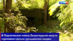 В Подпорожском районе Ленинградской области поисковики сделали сенсационную находку