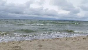 Куршская коса