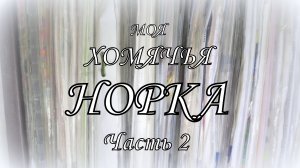 Вышивка крестом. Вышивальная норка. Часть 2. Мои вышивальные запасы за 13 лет!