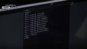 DDoS-атака. Как не стать участником интернет-диверсий?