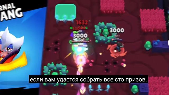 Обнова