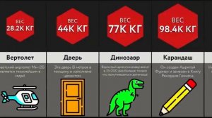 Сколько Весит ___?