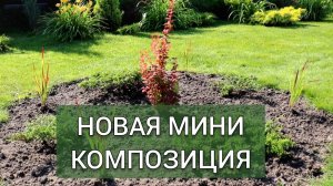 НОВАЯ МИНИ КОМПОЗИЦИЯ. 17.07.2025г.
