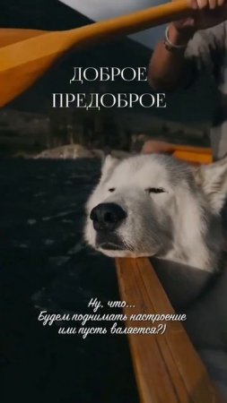 Доброе утро