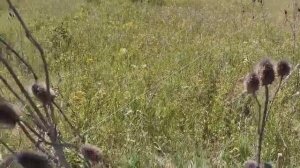 продам участок 7 соток, Демино , Ставрополь