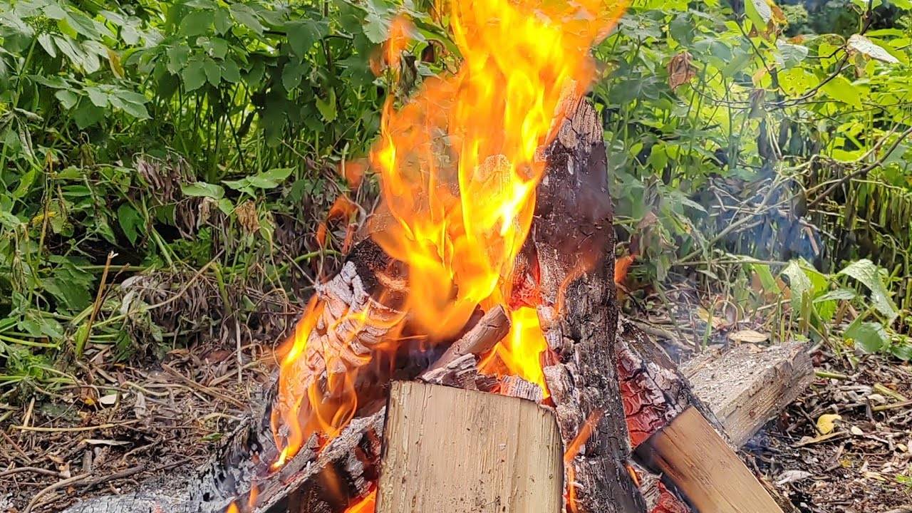 ДУХ ЗАБЛУЖДЕНИЯ 🙏