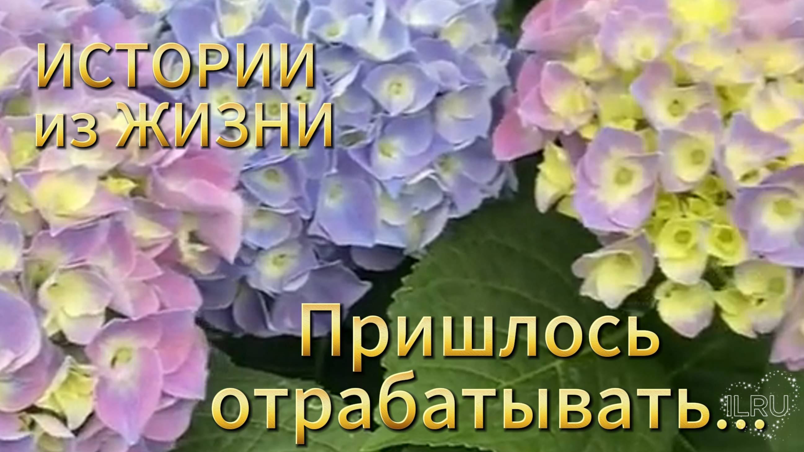 Рассказы об измене жены. Пришлось отрабатывать. Мужчины и женщины