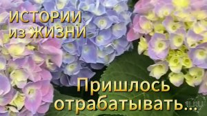 Рассказы об измене жены. Пришлось отрабатывать. Мужчины и женщины