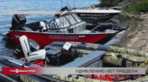 "По весточке": удивлению нет предела