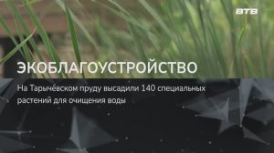 ЭКОБЛАГОУСТРОЙСТВО