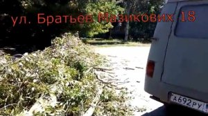 В Горловке дерево чуть не забрала жизнь.
