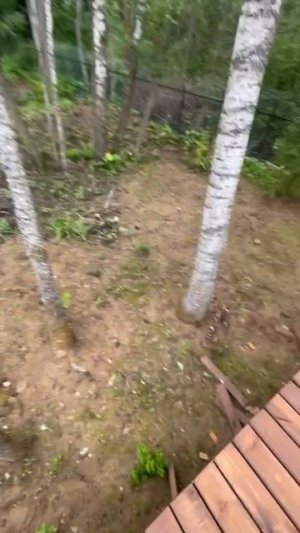 VID_20250716_115450_931.mp4.mov