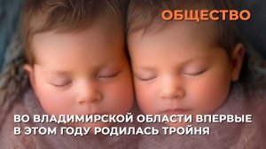 Во Владимирской области впервые в этом году родилась тройня