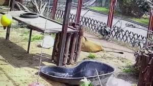 Не наелся, но настроение хорошее 17.07.2025