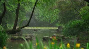 🌾 Красивая маленькая река идет дождь