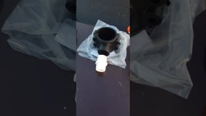 Голден спрей на рассаде клубники